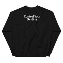 Load image into Gallery viewer, Control your Destiny